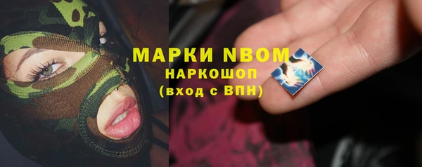 гидра Алексеевка