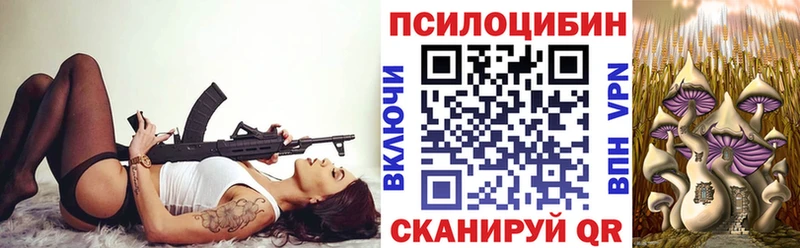 сайты даркнета официальный сайт  MEGA ТОР  Псилоцибиновые грибы ЛСД  Буй  где купить наркоту 